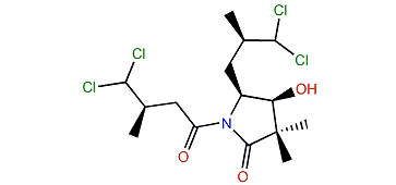 Dysidamide B